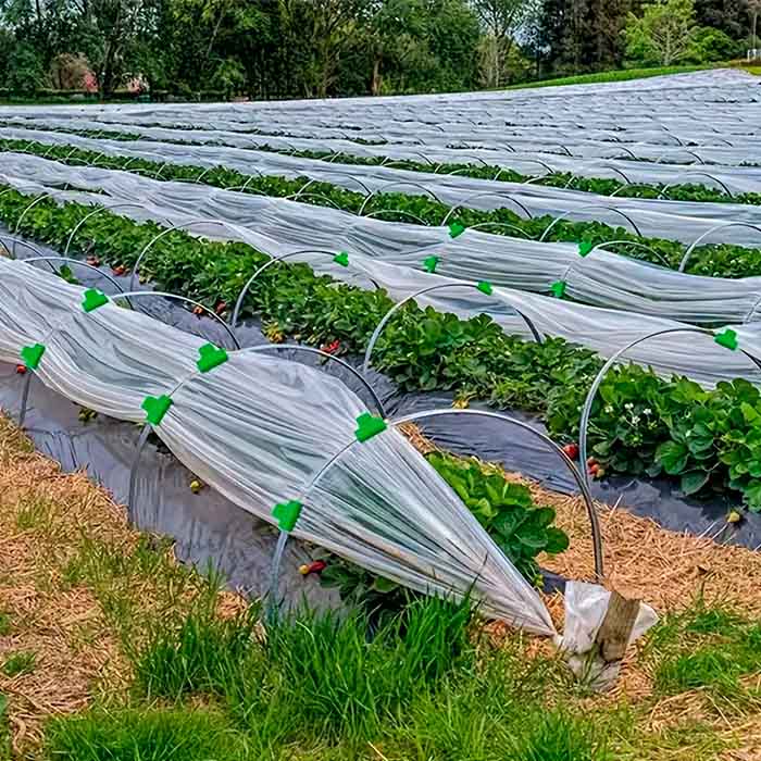 Fólia, fátyol és háló rögzítésére való csatok (30 darab) – PrimePick – HU